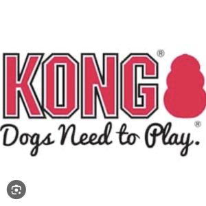 Kong Toys